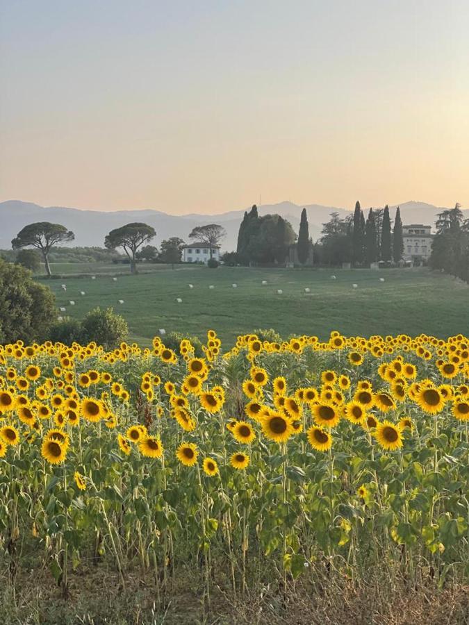 Casa le Rondini Toscana Bucine Esterno foto