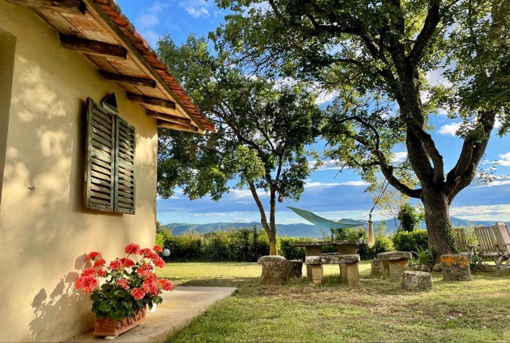 Casa le Rondini Toscana Bucine Esterno foto